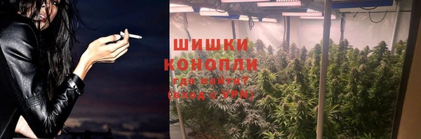 МДПВ Мегион