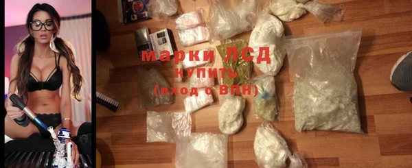 трава Медвежьегорск