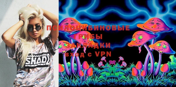 МДПВ Мегион
