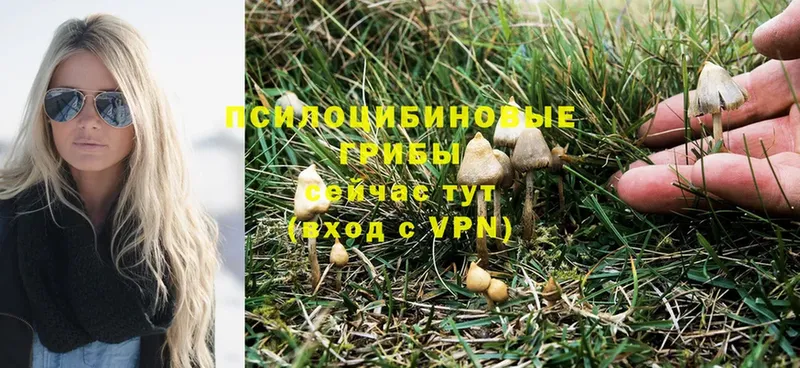 Псилоцибиновые грибы Magic Shrooms  магазин  наркотиков  Лысьва 