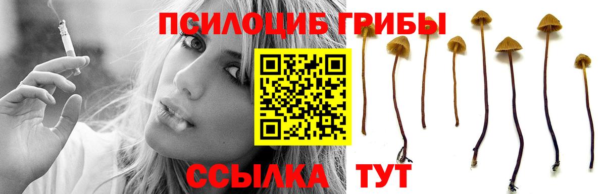 Псилоцибиновые грибы Psilocybine cubensis  Вход с VPN  Лысьва  Галлюциногенные грибы мицелий 